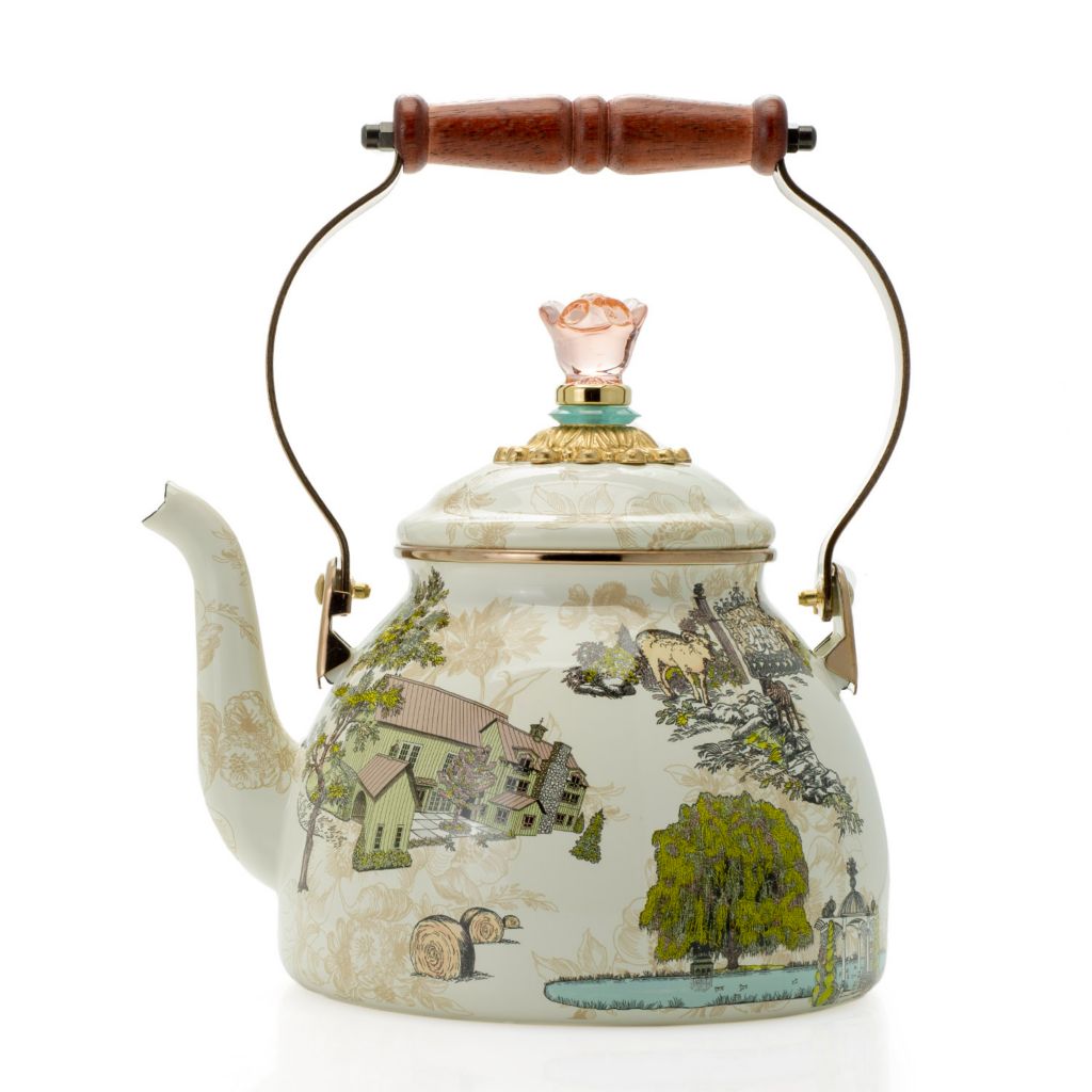 mini electric tea kettle with fada