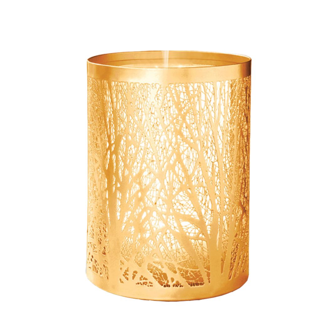 Pursonic Essential Oil Diffuser W Remote Shophq