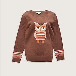 Our Owl Crewneck Sweater.