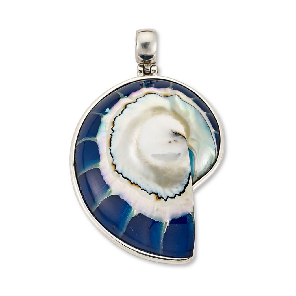 Artisan Silver By Samuel B 49 X 38mm Blue Nautilus Shell Pendant Shophq