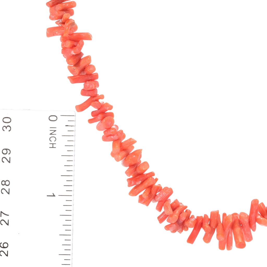 Scale