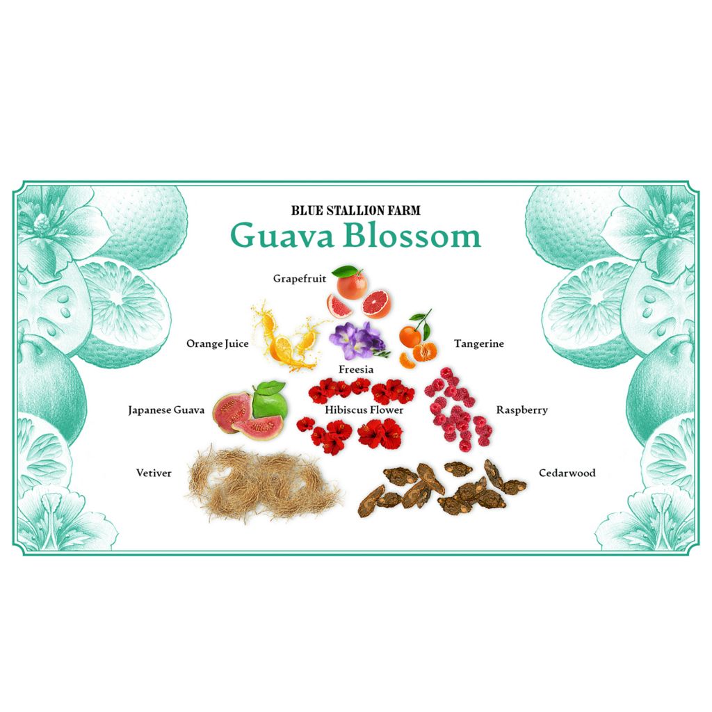 Pyramid Guava Blossom