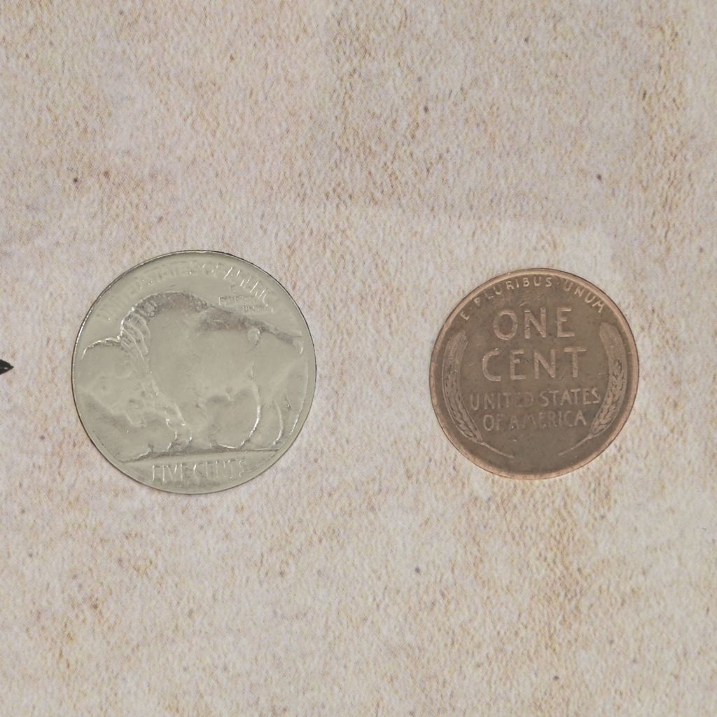 Coin