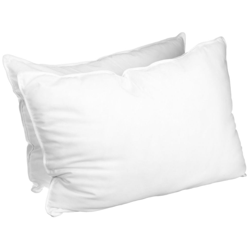 Plush Down Alternative Pillow 2 Pack