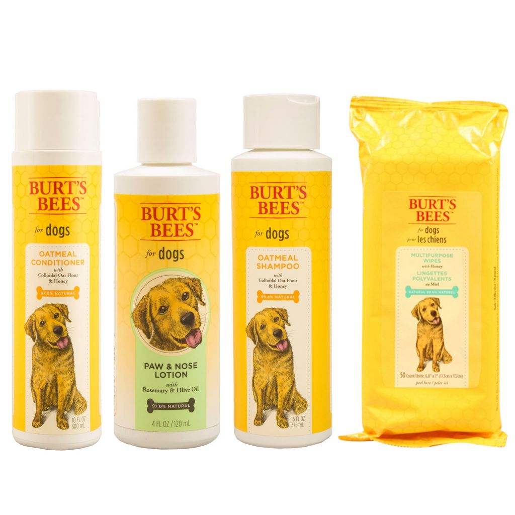 burt's bees dog shampoo