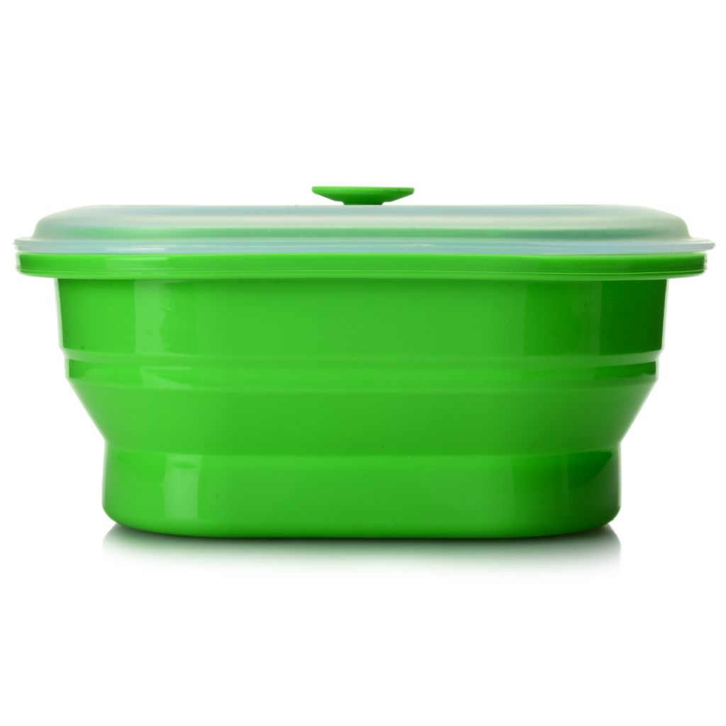 collapsible storage bins with lid