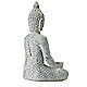 Buddha statue back
