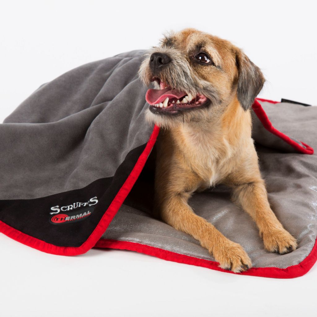 thermal dog blanket