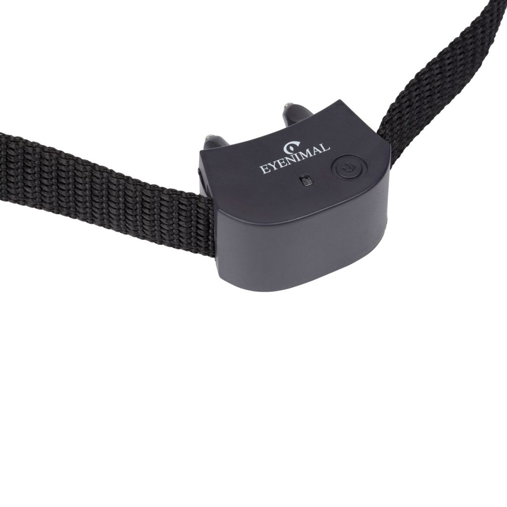 eyenimal dog collar
