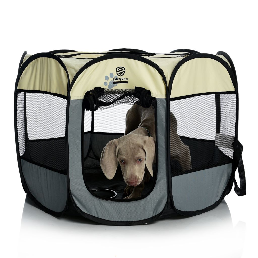 Portable best sale travel playpen