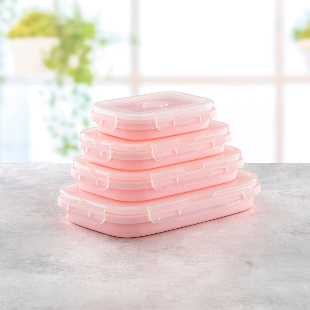 Piranha Set of 4 Collapsible Food Storage Containers 
