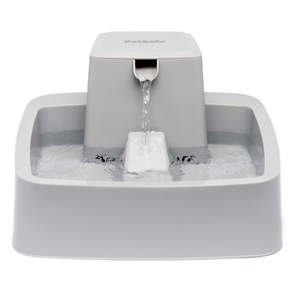 Pet Safe Drinkwell 1 Gallon Pet Fountain ShopHQ