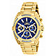 40mm Gold-tone / Blue watch